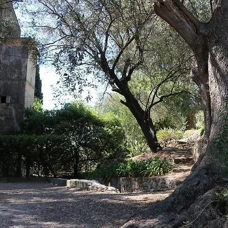 Corinna * Ventimiglia